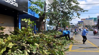  Hà Nội : Chặt 6.700 cây xanh có thể sẽ lâm vào cảnh ô nhiễm nặng