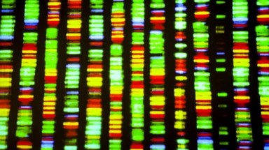 Phát hiện ADN con người có đặc điểm của gene ngang từ thực vật, vi sinh vật
