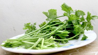   Ngừa và trị bách bệnh nhờ rau cần tây