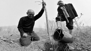   10 năm ông mù cùng bạn không tay trồng 10.000 cây