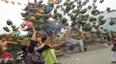 Chim chết la liệt trong ngày phóng sinh