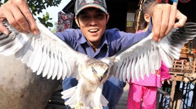   Tận diệt chim "độc"
