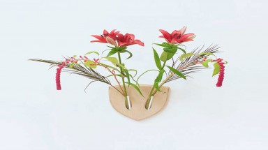  Trang trí làm đẹp tường chỉ bằng vài nhánh cỏ cây