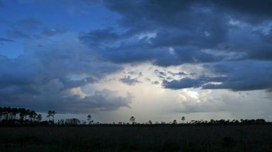   Hiện tượng El Nino xuất hiện trở lại yếu hơn với dự đoán