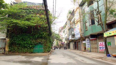 Độc đáo với nhà phủ kín cây xanh cả ba tầng ở Hà Nội
