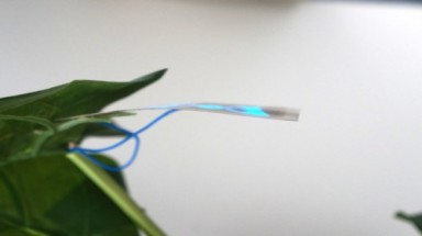  Chiếc lá nhân tạo có thể khai thác ánh sáng mặt trời đề tạo ra nhiên liệu khí hydro