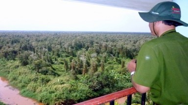   Cà Mau: Rừng U Minh Hạ... bên mồi lửa