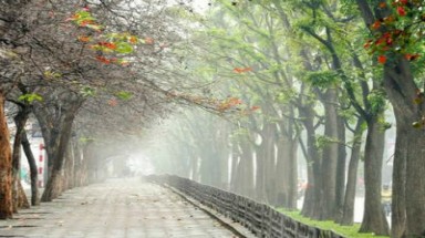  Thời tiết ngày 21 tháng 3: Bắc bộ đón không khí lạnh, có mưa nhỏ vài nơi 