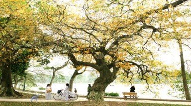  Thời tiết ngày 9 tháng 3: Đông Bắc Bộ mưa rét vẫn tiếp diễn, Đông Nam Bộ nắng nóng 