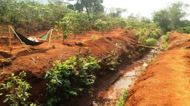  Kon Tum công bố thiên tai do hạn hán ở cấp độ 1