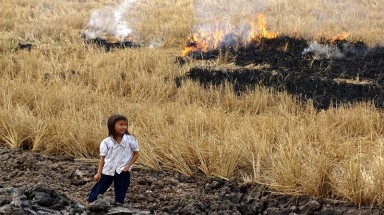  Xâm nhập mặn ở ĐBSCL: Nhận diện nguyên nhân và giải pháp ứng phó