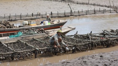  Ai đã làm gì cho sông Mekong?