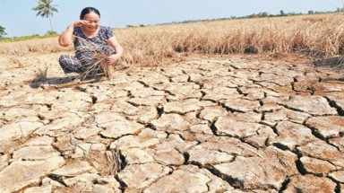  Thảm họa Mekong từ 1 báo cáo nguy hiểm cho đất nước