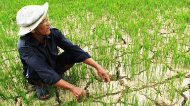  Lào xả nước giúp Việt Nam đối phó hạn hán, xâm nhập mặn 