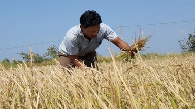 Công điện về chống nắng nóng, hạn hán ở Tây Nguyên