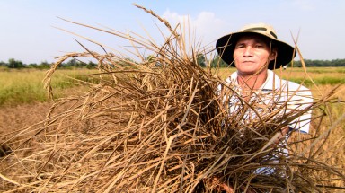  Người dân Sóc Trăng đối mặt với những bất lợi kép từ thiên tai