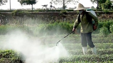  Vạch mặt sát thủ gây ung thư ở Việt Nam