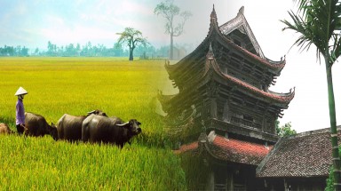  Vùng quê lúa chủ động ứng phó với biến đổi khí hậu