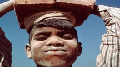  215 triệu trẻ phải lao động kiếm sống hàng ngày