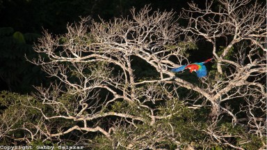  National Geographic và Canon khởi động cuộc thi Giải Thưởng Nhiếp Ảnh Gia Trẻ EOS ở Việt Nam