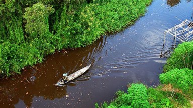 Ngăn chặn tình trạng tận diệt cá non, bảo vệ nguồn lợi thủy sản