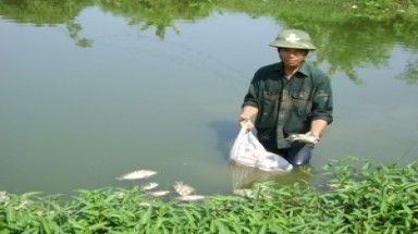  Tổn thất do ô nhiễm môi trường lên tới 5,5% GDP