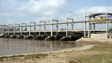 6.000 ha lúa hè thu kêu cứu vì ngập mặn
