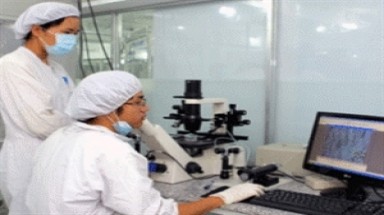  Hỗ trợ nhà khoa học trẻ tham gia đề tài tiềm năng