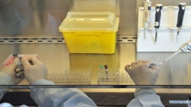  Mỹ bắt tay vào điều chế vắcxin kháng H7N9