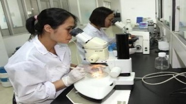  Trăn trở với bài toán tài chính cho nghiên cứu khoa học