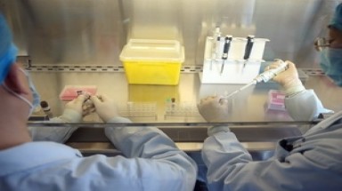  Đã có thuốc hữu hiệu với H7N9