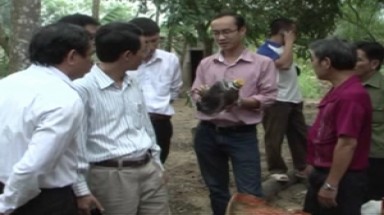  Nghi án photphin làm đồ vật tự cháy được sáng tỏ