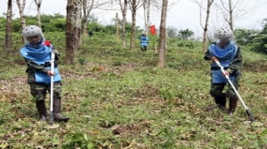 Làm sạch hơn 11.300ha đất nhiễm bom, mìn phục vụ sản xuất 