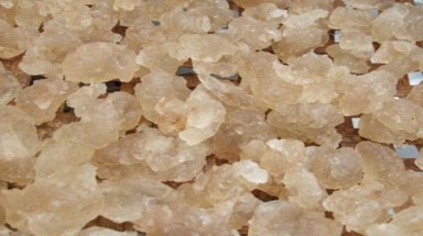     Mủ cây trôm giải khát, nhuận tràng
