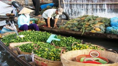  Giới thiệu hành trình tìm kiếm S 100 Việt Nam