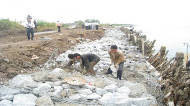    Nguy cơ vỡ đê biển Tây