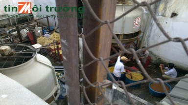  Công ty TNHH Thương mại Dịch vụ Sư Tử Bạc gây ồn suốt ngày đêm