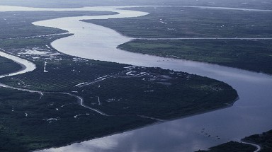  WWF chung tay cùng Việt Nam bảo tồn hệ sinh thái ĐBSCL
