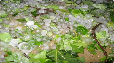   Lào Cai lại chịu trận mưa đá thứ 6 