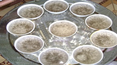   Bạc Liêu: Tràn lan dòng tôm giống trôi nổi 