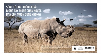  Khởi động chiến dịch "nói KHÔNG với sừng tê giác"