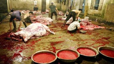  Đóng cửa 20 cơ sở giết mổ gây ô nhiễm