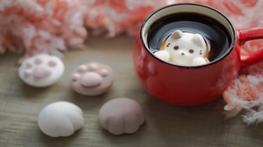  Đáng yêu kẹo dẻo hình mèo con tan trong cốc cà-phê