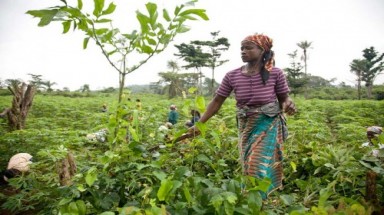   Oxfam kêu gọi thúc đẩy sinh thái nông nghiệp