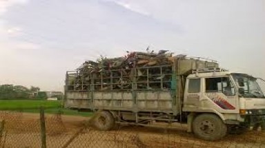  Phát triển kinh tế kết hợp bảo vệ môi trường ở Đồng Văn và Tề Lỗ