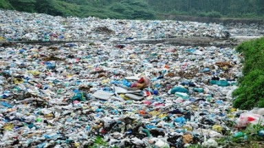 Quảng Ngãi: Ô nhiễm môi trường từ bãi xử lý rác thải phía Nam huyện Đức Phổ 
