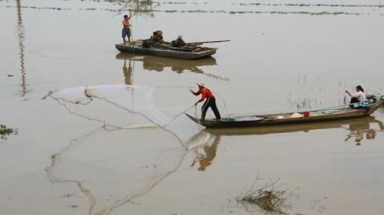  Hậu Giang: Mưa lớn trên diện rộng, lợi nhiều nhưng thiệt hại cũng không nhỏ