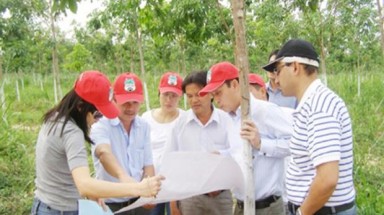   Bầu Đức sẽ đi “chăn bò”