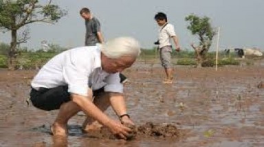 Tiền Giang: Hỗ trợ cộng đồng dân cư ven biển ứng phó với biến đổi khí hậu
