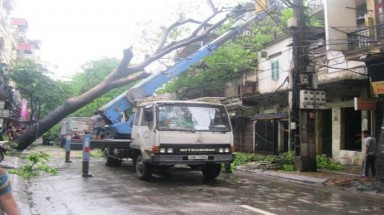  Hà Nội: Cây cổ thụ bật gốc đổ thẳng vào nhà dân ven đường